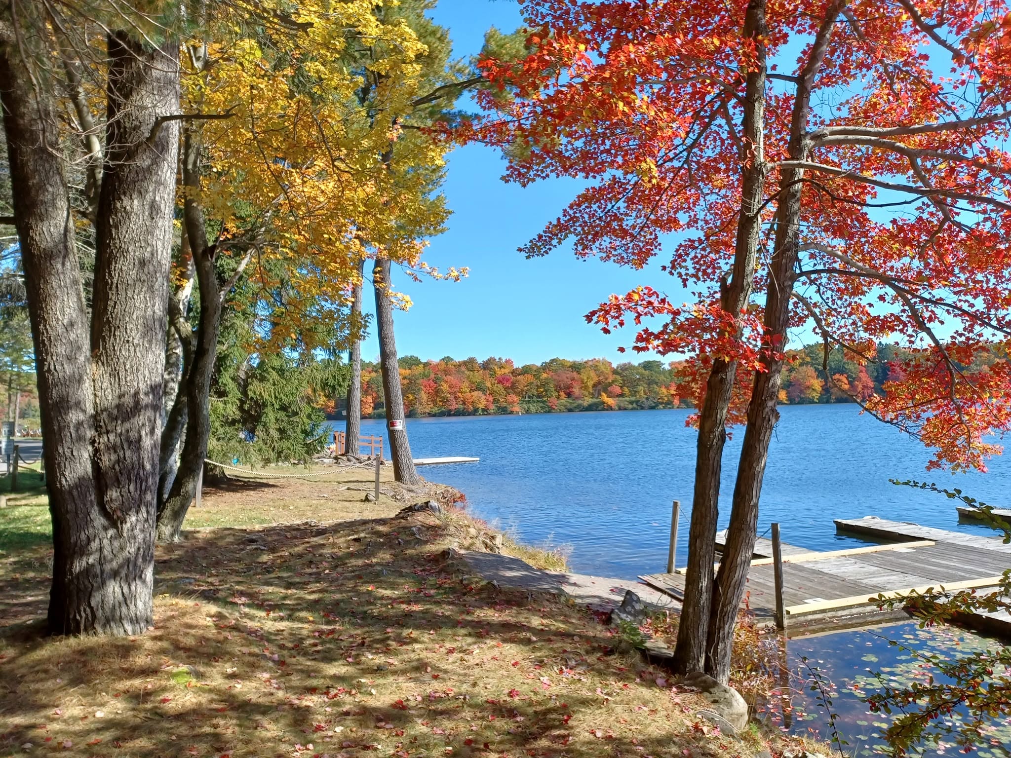family-friendly-activities-and-places-to-explore-in-harmony-pa